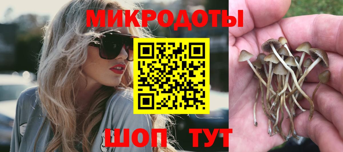 Сатка  купить   Вход с VPN  Галлюциногенные грибы Psilocybine cubensis 